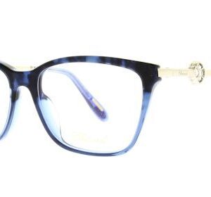 Beauty with a Clear View