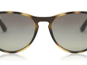 RB Shine Bright, Little Eyes